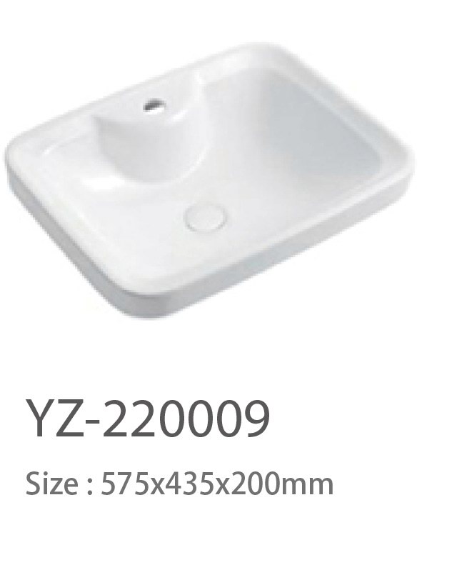 YZ-220009